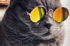 Raoul-droog via Unsplash